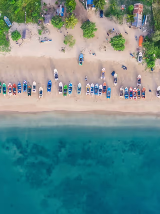 Arugam Bay