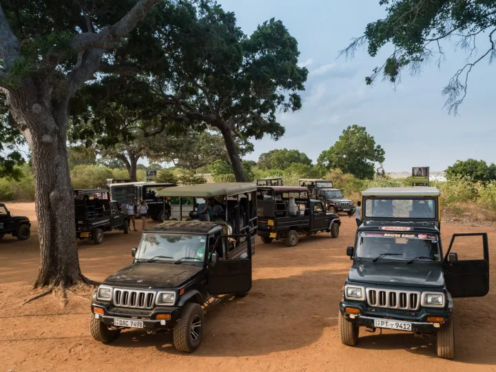 What a Yala safari costs, and how to avoid the jeep queue