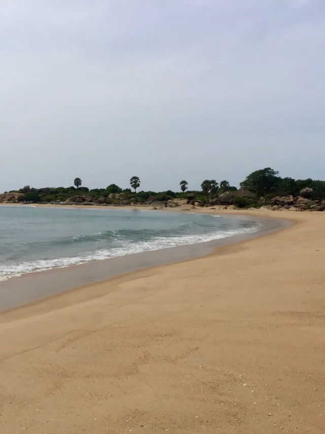 Arugam Bay