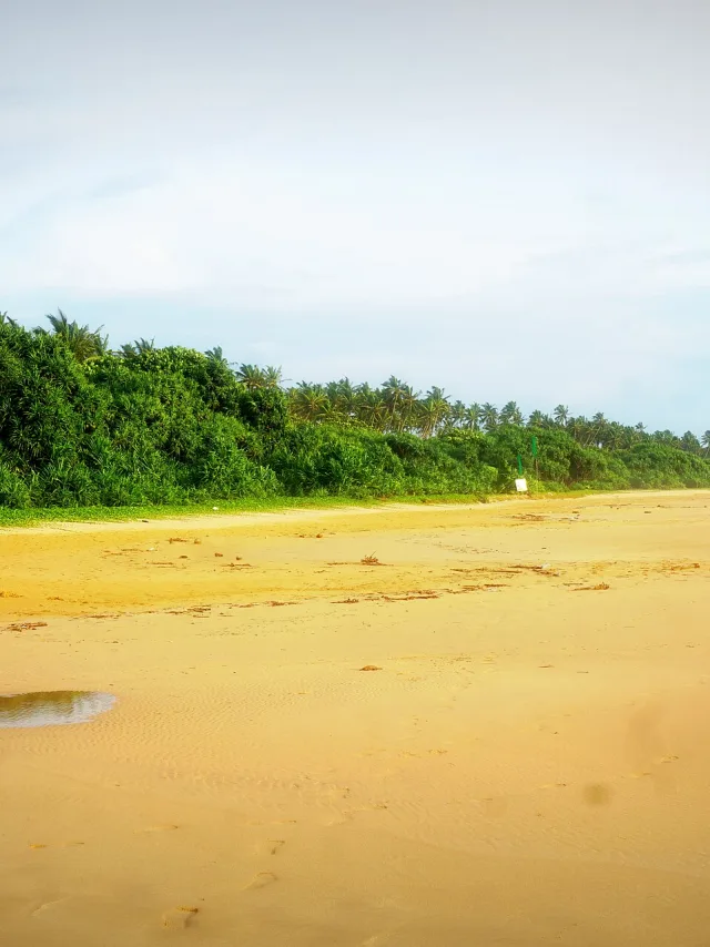 Bentota
