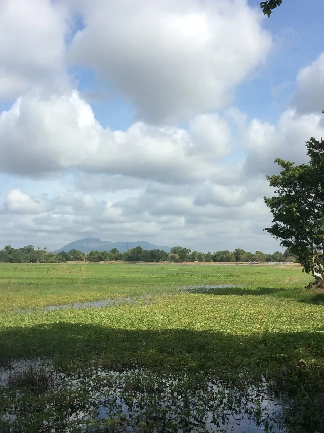 Habarana