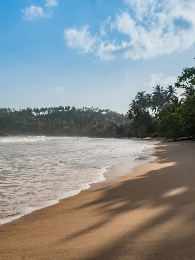 Mirissa