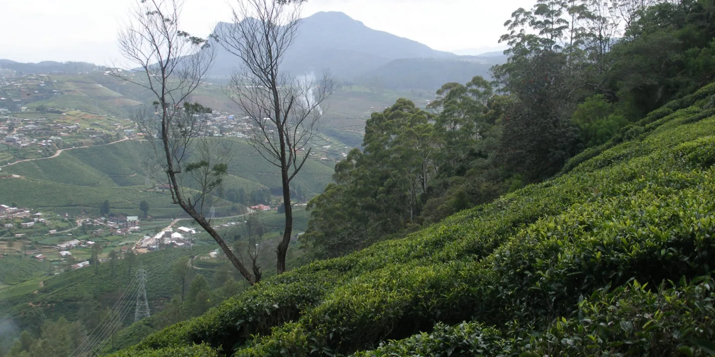 Nuwara Eliya, Sri Lanka