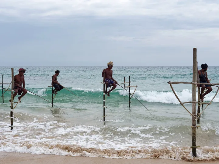 Whales, stilt fishermen and the deep south