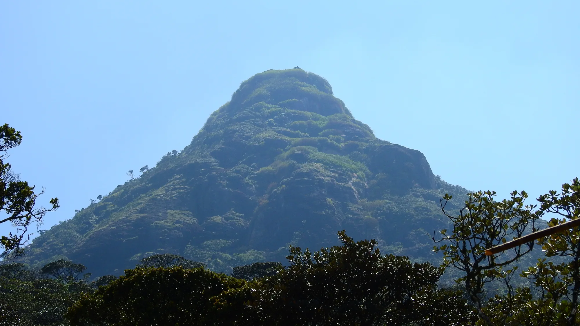 The conical summit of Adam's Peak seen through hill country forest