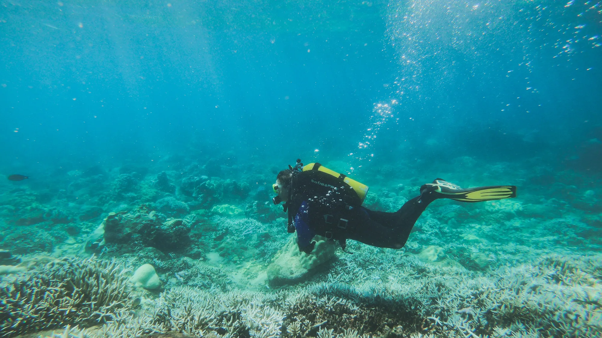 A diver above the coral reef at Pigeon Island, off Trincomalee