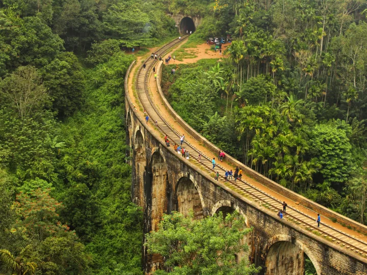 The Nine Arch Bridge curving through jungle towards a tunnel at Demodara