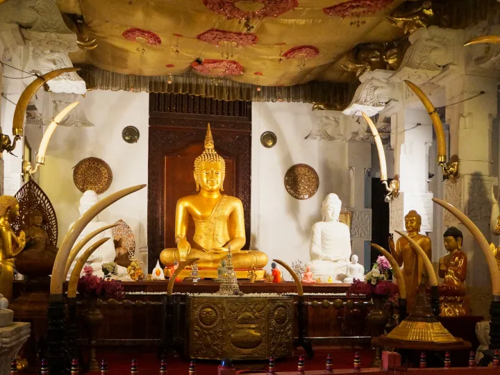 Golden seated Buddha statues inside the Temple of the Sacred Tooth Relic, Kandy